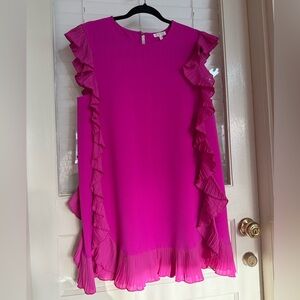TCEC Hot Pink Sleeveless Ruffle Trim Dress Large